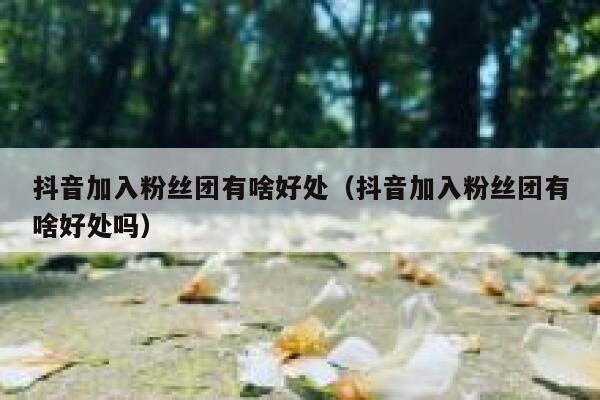 抖音加入粉丝团有啥好处（抖音加入粉丝团有啥好处吗） 第1张