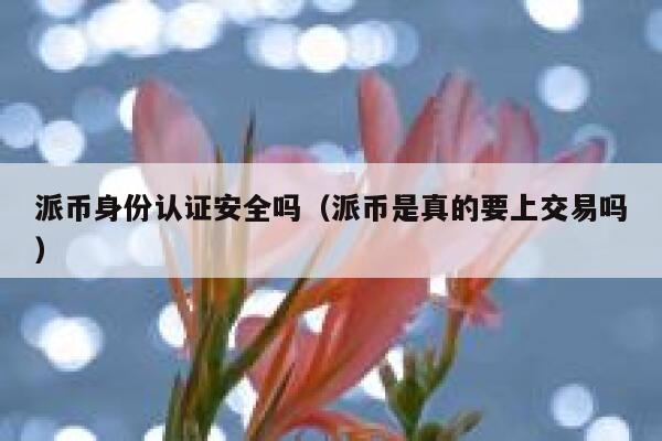派币身份认证安全吗（派币是真的要上交易吗） 第1张