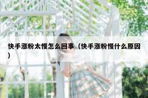 快手涨粉太慢怎么回事（快手涨粉慢什么原因） 第1张