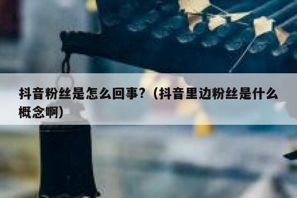 抖音粉丝是怎么回事?（抖音里边粉丝是什么概念啊） 第1张