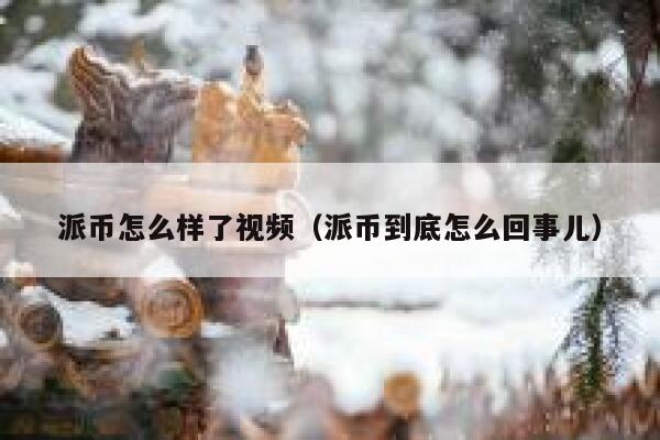 派币怎么样了视频（派币到底怎么回事儿） 第1张