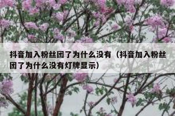 抖音加入粉丝团了为什么没有（抖音加入粉丝团了为什么没有灯牌显示） 第1张