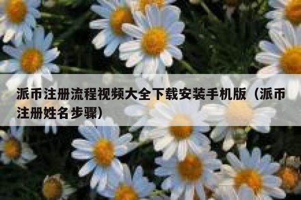 派币注册流程视频大全下载安装手机版（派币注册姓名步骤） 第1张