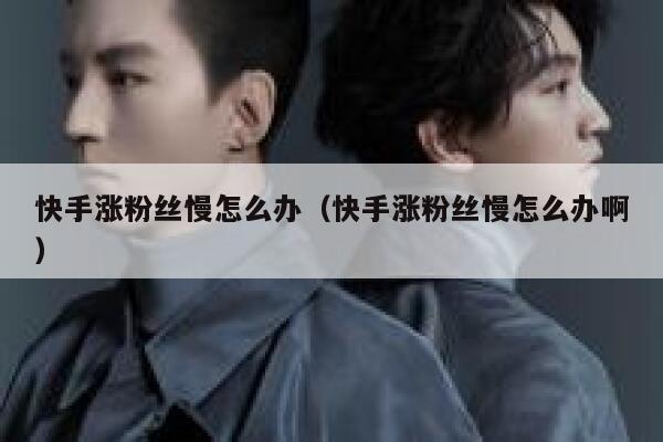 快手涨粉丝慢怎么办（快手涨粉丝慢怎么办啊） 第1张