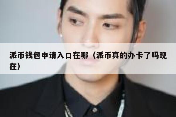 派币钱包申请入口在哪（派币真的办卡了吗现在） 第1张