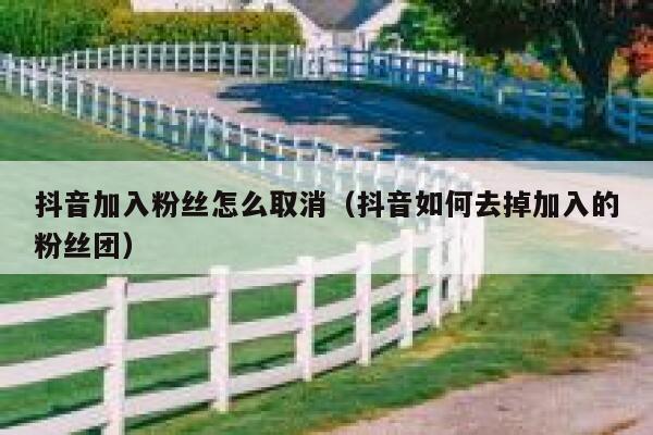 抖音加入粉丝怎么取消（抖音如何去掉加入的粉丝团） 第1张