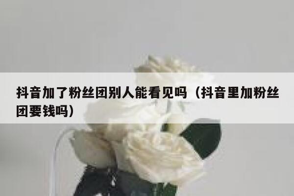 抖音加了粉丝团别人能看见吗（抖音里加粉丝团要钱吗） 第1张