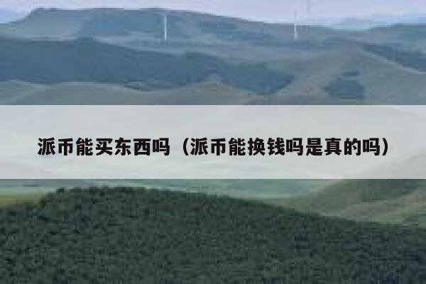 派币能买东西吗（派币能换钱吗是真的吗） 第1张
