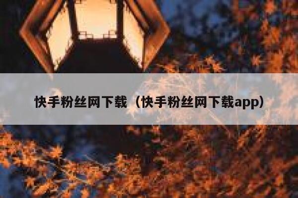 快手粉丝网下载（快手粉丝网下载app） 第1张