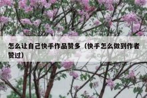 怎么让自己快手作品赞多（快手怎么做到作者赞过） 第1张