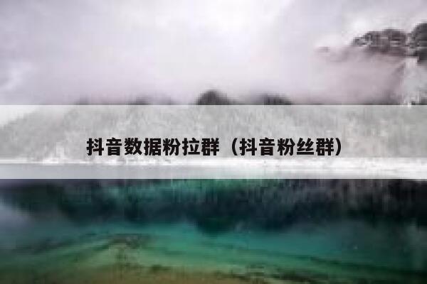 抖音数据粉拉群（抖音粉丝群） 第1张