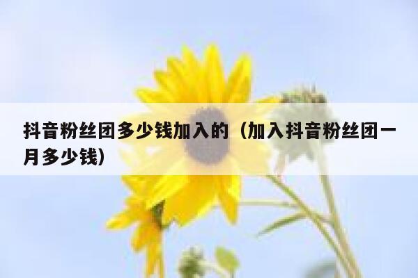 抖音粉丝团多少钱加入的（加入抖音粉丝团一月多少钱） 第1张