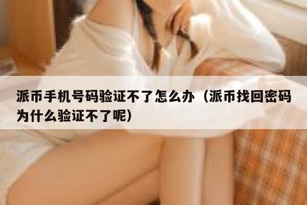 派币手机号码验证不了怎么办（派币找回密码为什么验证不了呢） 第1张