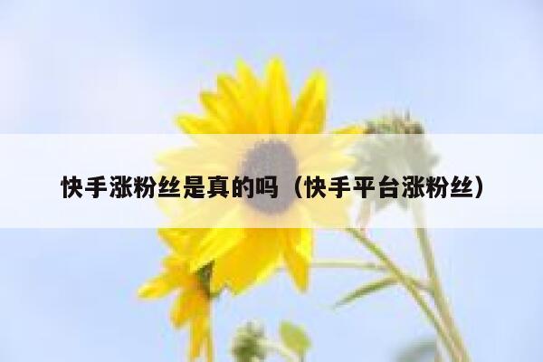 快手涨粉丝是真的吗（快手平台涨粉丝） 第1张