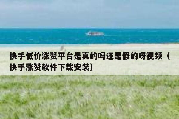 快手低价涨赞平台是真的吗还是假的呀视频（快手涨赞软件下载安装） 第1张