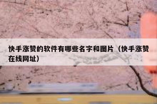 快手涨赞的软件有哪些名字和图片（快手涨赞在线网址） 第1张