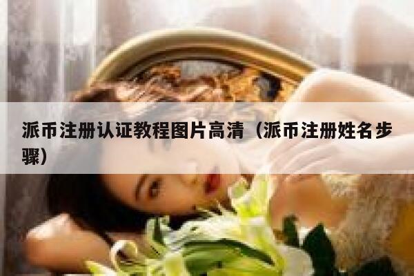 派币注册认证教程图片高清(派币注册姓名步骤) 第1张 派币注册认证教程图片高清(派币注册姓名步骤) 第1张