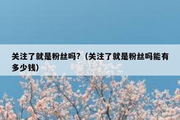关注了就是粉丝吗?（关注了就是粉丝吗能有多少钱） 第1张