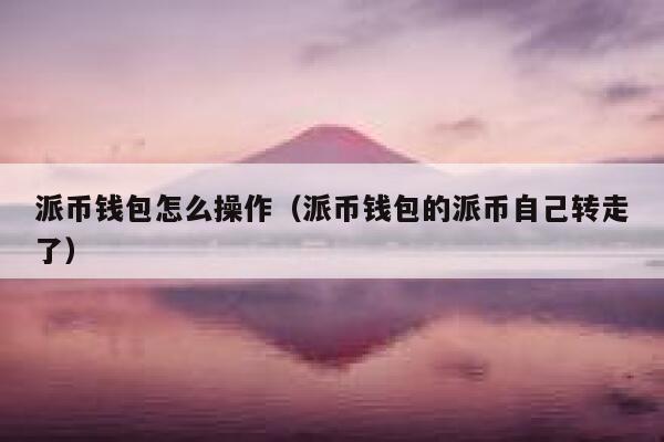 派币钱包怎么操作（派币钱包的派币自己转走了） 第1张