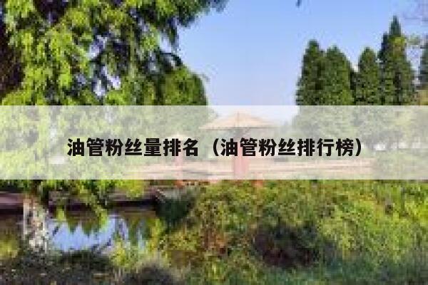 油管粉丝量排名（油管粉丝排行榜） 第1张