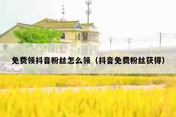 免费领抖音粉丝怎么领（抖音免费粉丝获得） 第1张