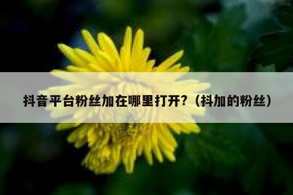 抖音平台粉丝加在哪里打开?（抖加的粉丝） 第1张