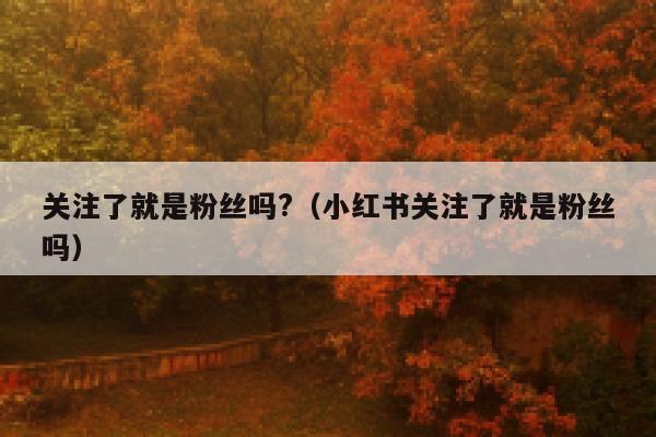关注了就是粉丝吗?（小红书关注了就是粉丝吗） 第1张
