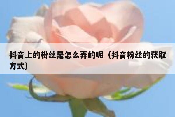 抖音上的粉丝是怎么弄的呢(抖音粉丝的获取方式) 第1张 抖音上的粉丝是怎么弄的呢(抖音粉丝的获取方式) 第1张