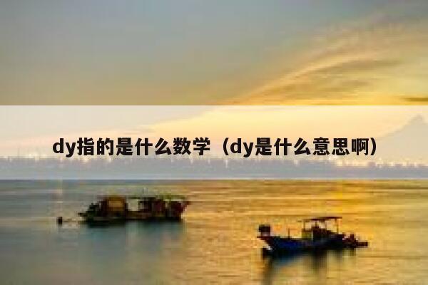 dy指的是什么数学（dy是什么意思啊） 第1张