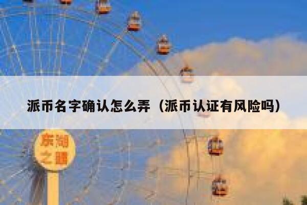 派币名字确认怎么弄（派币认证有风险吗） 第1张