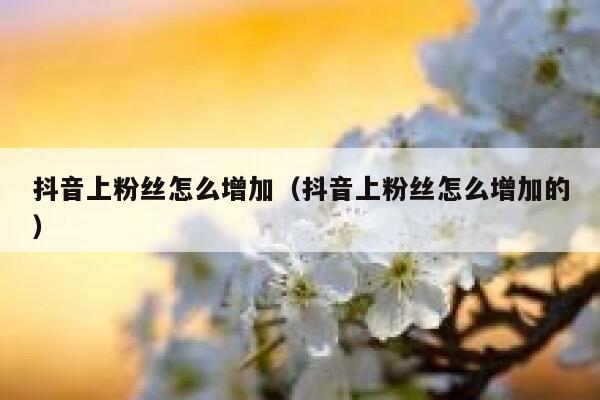 抖音上粉丝怎么增加(抖音上粉丝怎么增加的) 第1张 抖音上粉丝怎么增加(抖音上粉丝怎么增加的) 第1张