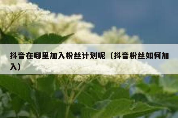 抖音在哪里加入粉丝计划呢（抖音粉丝如何加入） 第1张