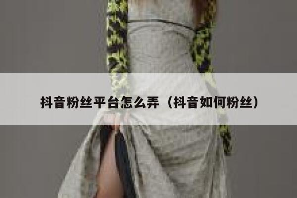 抖音粉丝平台怎么弄（抖音如何粉丝） 第1张