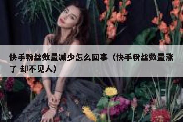 快手粉丝数量减少怎么回事（快手粉丝数量涨了 却不见人） 第1张