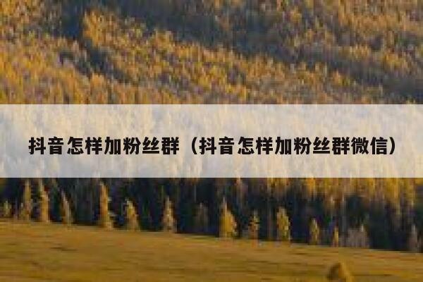 抖音怎样加粉丝群（抖音怎样加粉丝群微信） 第1张