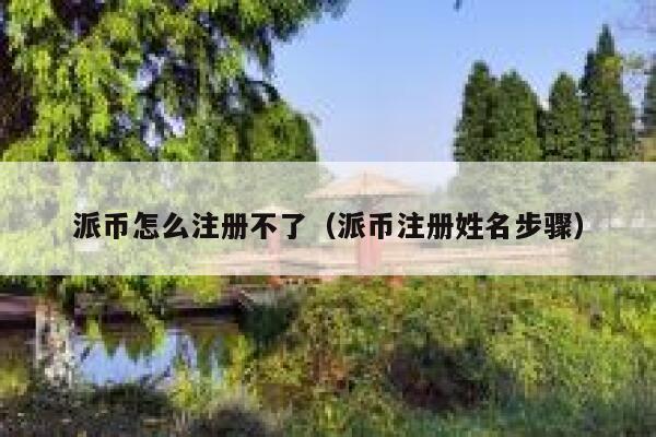 派币怎么注册不了（派币注册姓名步骤） 第1张