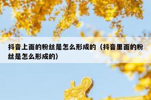 抖音上面的粉丝是怎么形成的（抖音里面的粉丝是怎么形成的） 第1张