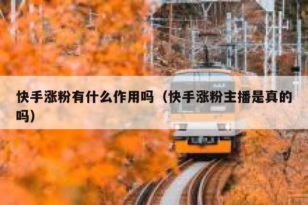 快手涨粉有什么作用吗(快手涨粉主播是真的吗) 第1张 快手涨粉有什么作用吗(快手涨粉主播是真的吗) 第1张