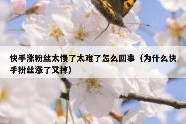 快手涨粉丝太慢了太难了怎么回事(为什么快手粉丝涨了又掉) 第1张 快手涨粉丝太慢了太难了怎么回事(为什么快手粉丝涨了又掉) 第1张