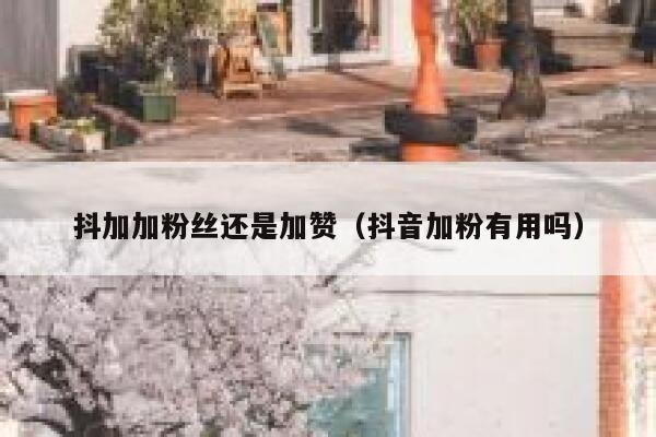 抖加加粉丝还是加赞（抖音加粉有用吗） 第1张