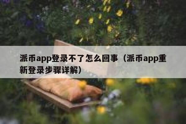 派币app登录不了怎么回事（派币app重新登录步骤详解） 第1张