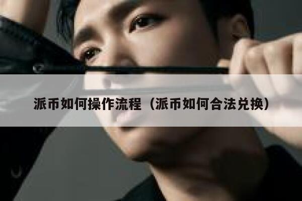 派币如何操作流程（派币如何合法兑换） 第1张