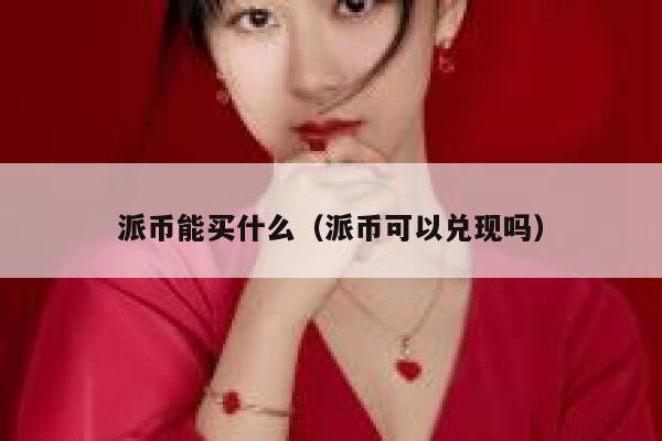 派币能买什么（派币可以兑现吗） 第1张