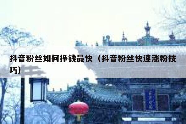 抖音粉丝如何挣钱最快(抖音粉丝快速涨粉技巧) 第1张 抖音粉丝如何挣钱最快(抖音粉丝快速涨粉技巧) 第1张
