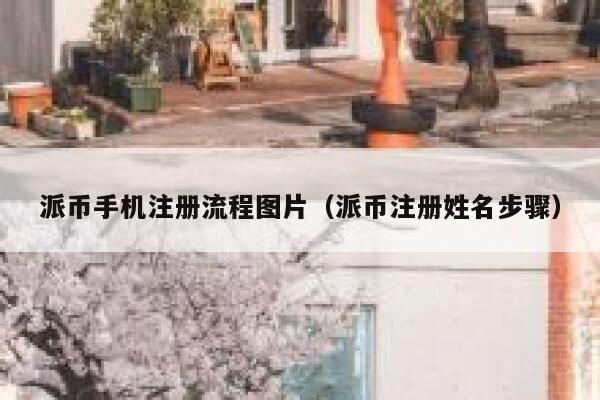 派币手机注册流程图片（派币注册姓名步骤） 第1张