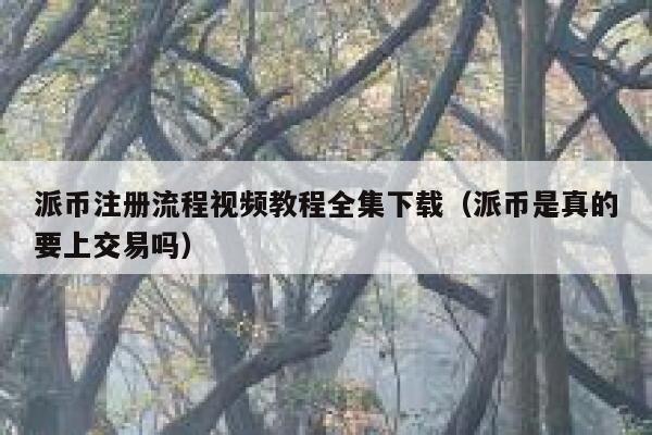 派币注册流程视频教程全集下载（派币是真的要上交易吗） 第1张