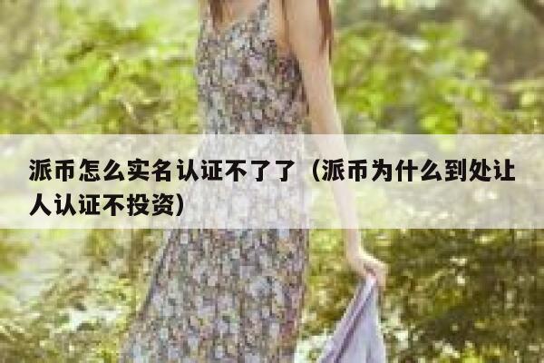 派币怎么实名认证不了了（派币为什么到处让人认证不投资） 第1张