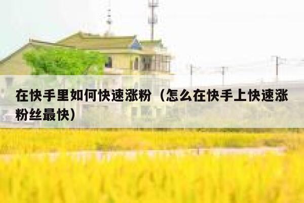 在快手里如何快速涨粉（怎么在快手上快速涨粉丝最快） 第1张