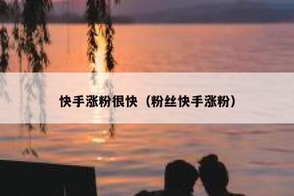 快手涨粉很快（粉丝快手涨粉） 第1张