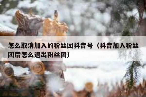 怎么取消加入的粉丝团抖音号（抖音加入粉丝团后怎么退出粉丝团） 第1张